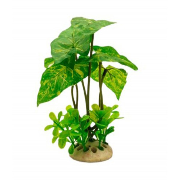 ΔΙΑΚΟΣΜΗΤΙΚΟ ΦΥΤΟ ΕΝΥΔΡΕΙΟΥ 16CM